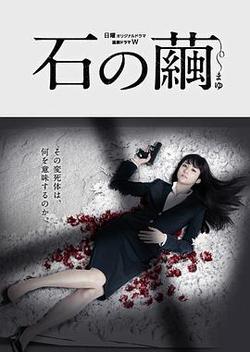 石之繭(石の繭 殺人分析班)
