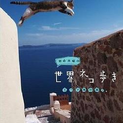 岩合光昭的貓步走世界