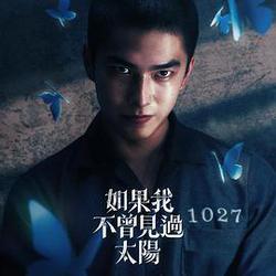 如果我不曾見過太陽